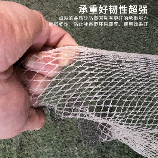 防雹网防冰雹网果园防雹网葡萄防雹网樱桃防雹网防护网厂家直销