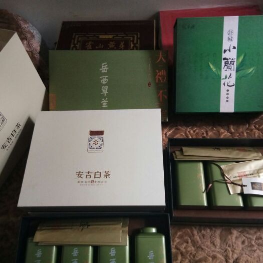 合肥舒城小兰花 恒温长期保存