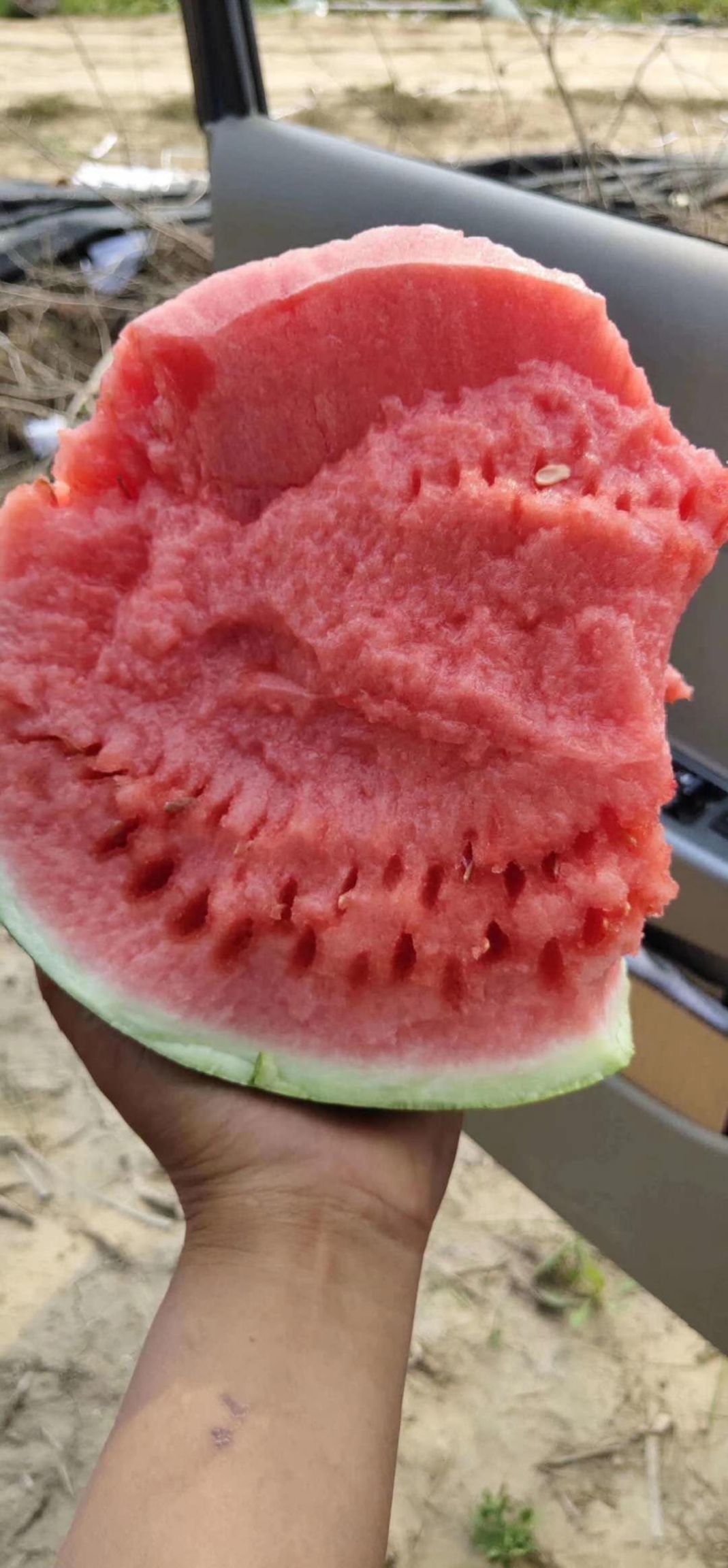 8424西瓜  【优选精品】大棚精品,美都西瓜,产地直供