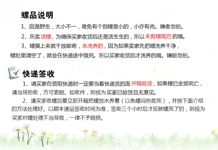 山坑螺 光滑靚麗 有炮頭螺 少量順豐快遞兩廣 水產(chǎn)車全國(guó)各地