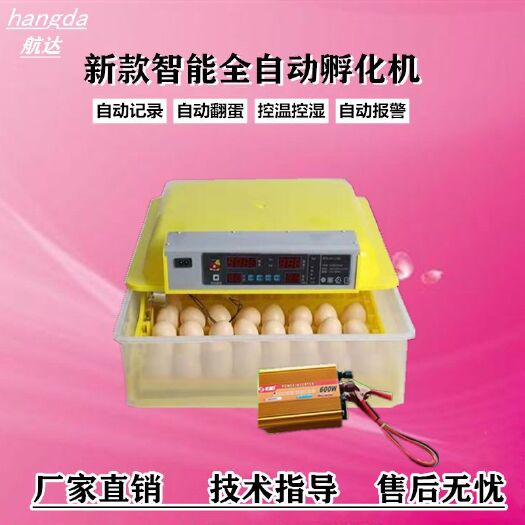 德州养殖孵化机  56枚家用智能小型孵化器