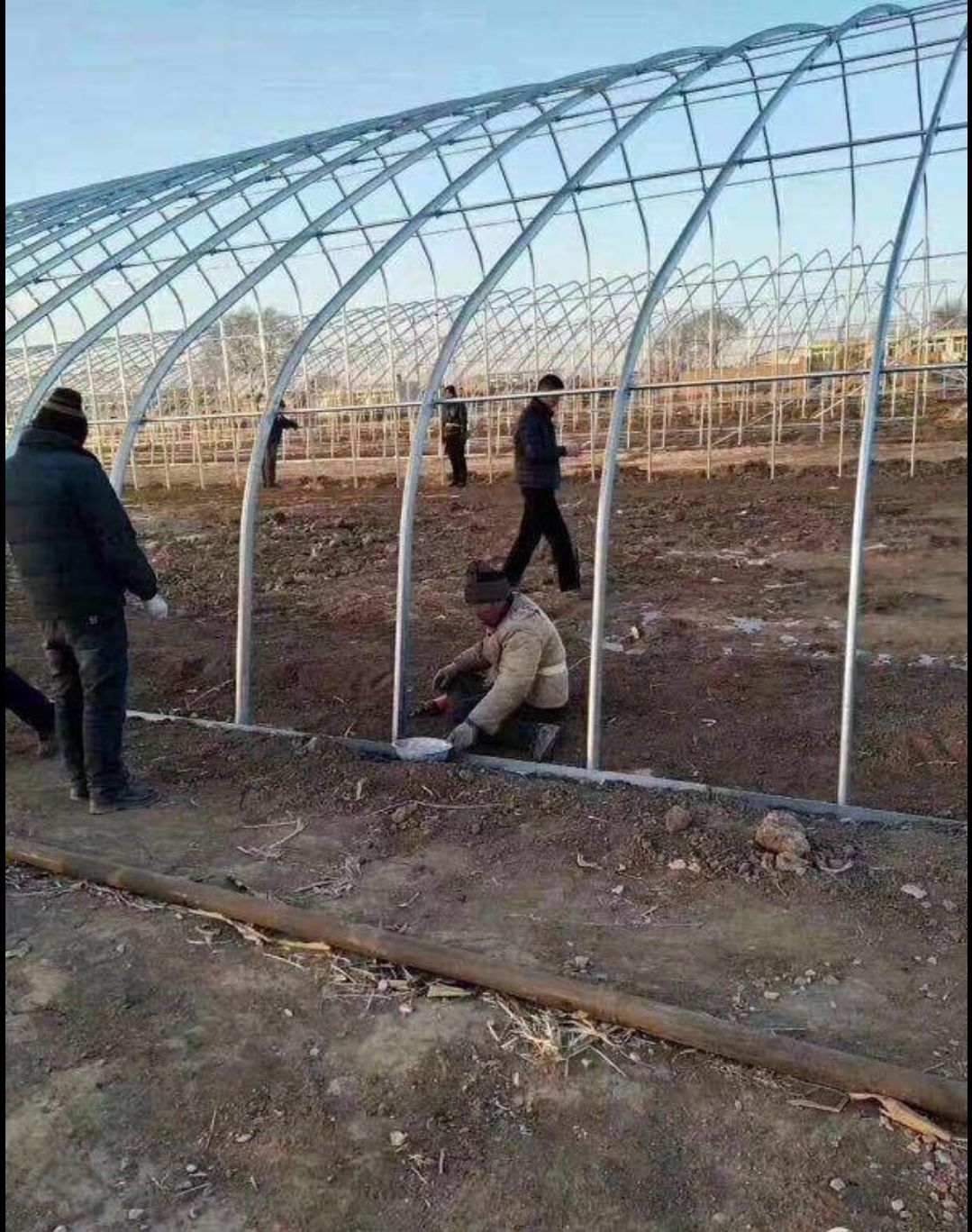 大棚管 椭圆管骨架 承重力强 抗风抗雪 使用寿命长