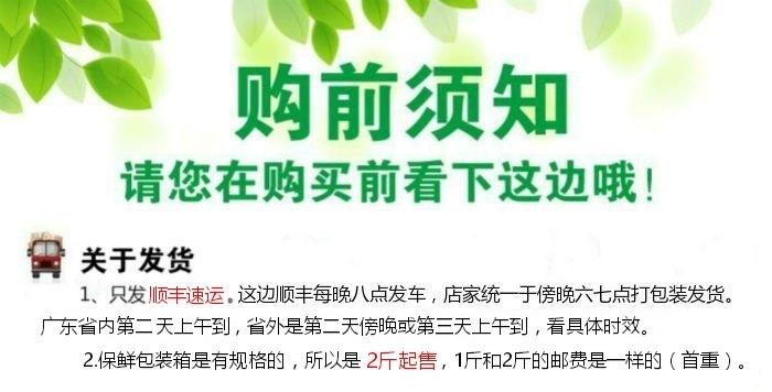 山坑螺 光滑靚麗 有炮頭螺 少量順豐快遞兩廣 水產(chǎn)車全國(guó)各地