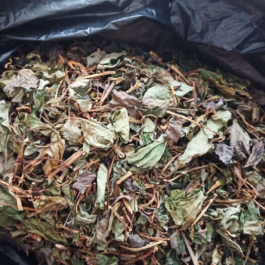 萍乡鱼腥草  凉茶