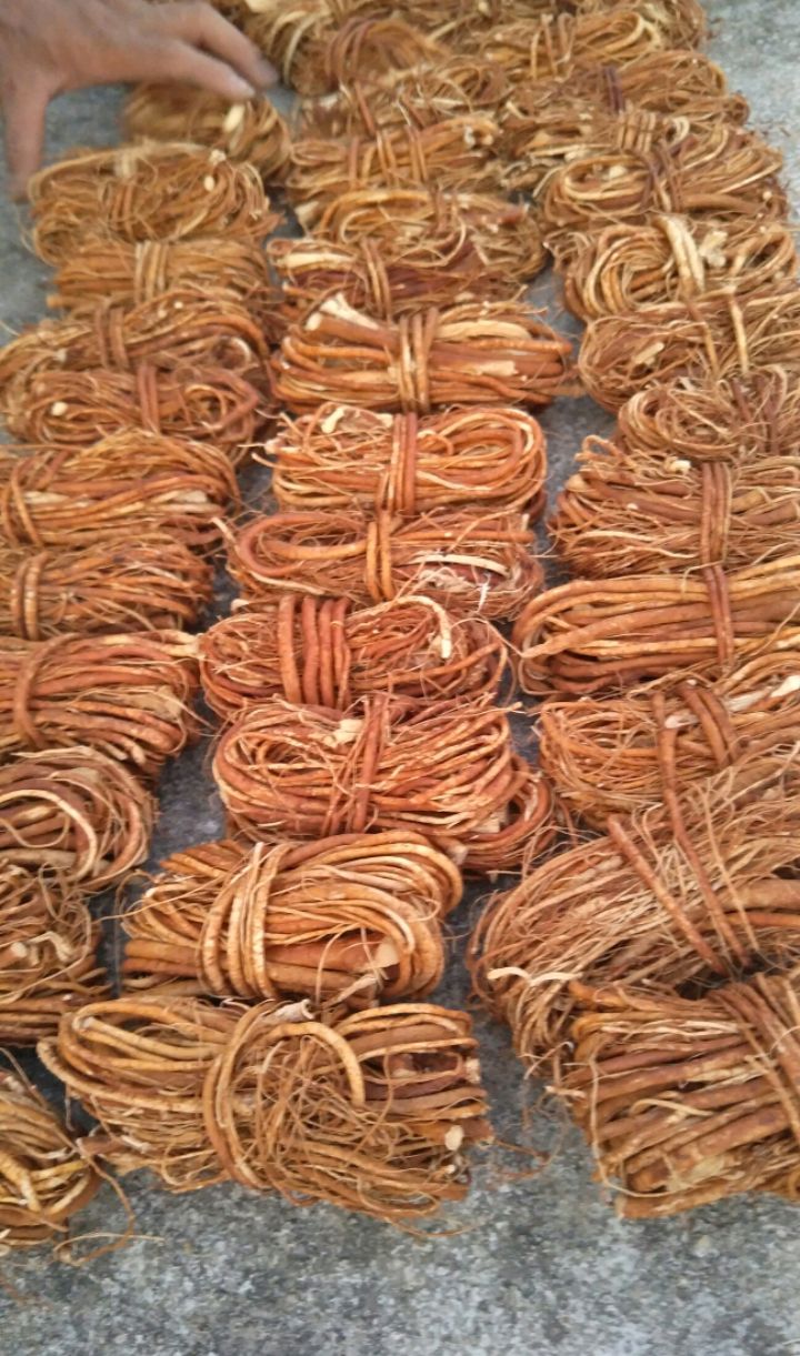 五指毛桃     五指毛桃干货      小扎把