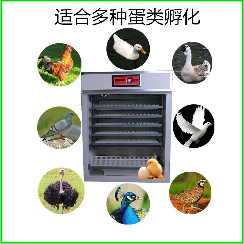 养殖设备  2112枚智能全自动孵化机