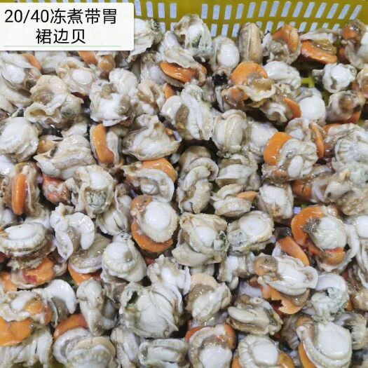 乳山市冷冻扇贝肉 24个月以上