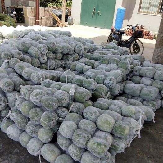 莘县 冬瓜大量上市，保质保量，全天有货