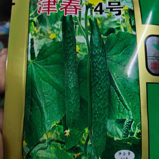 黄瓜种子 津春4号深绿色 亩3袋，详细介绍请看包装说明谢谢