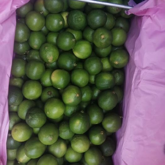 昆明 泰国塔西提无籽青柠山竹通货