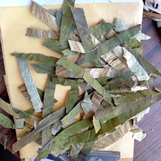 安国市荷叶 500克 荷叶丝 微山湖荷叶。