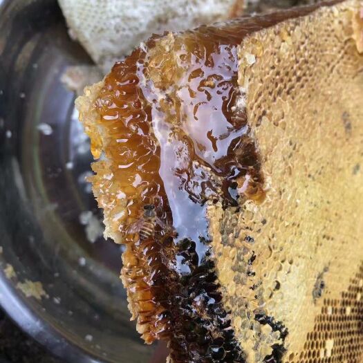 景洪市 西双版纳蜂蜜