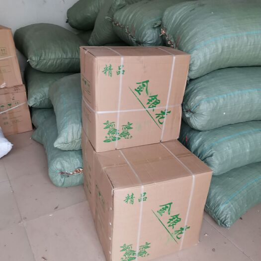 广州枸杞茶 金银花，河南河北货