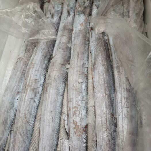 济南带鱼 越南小规格网带