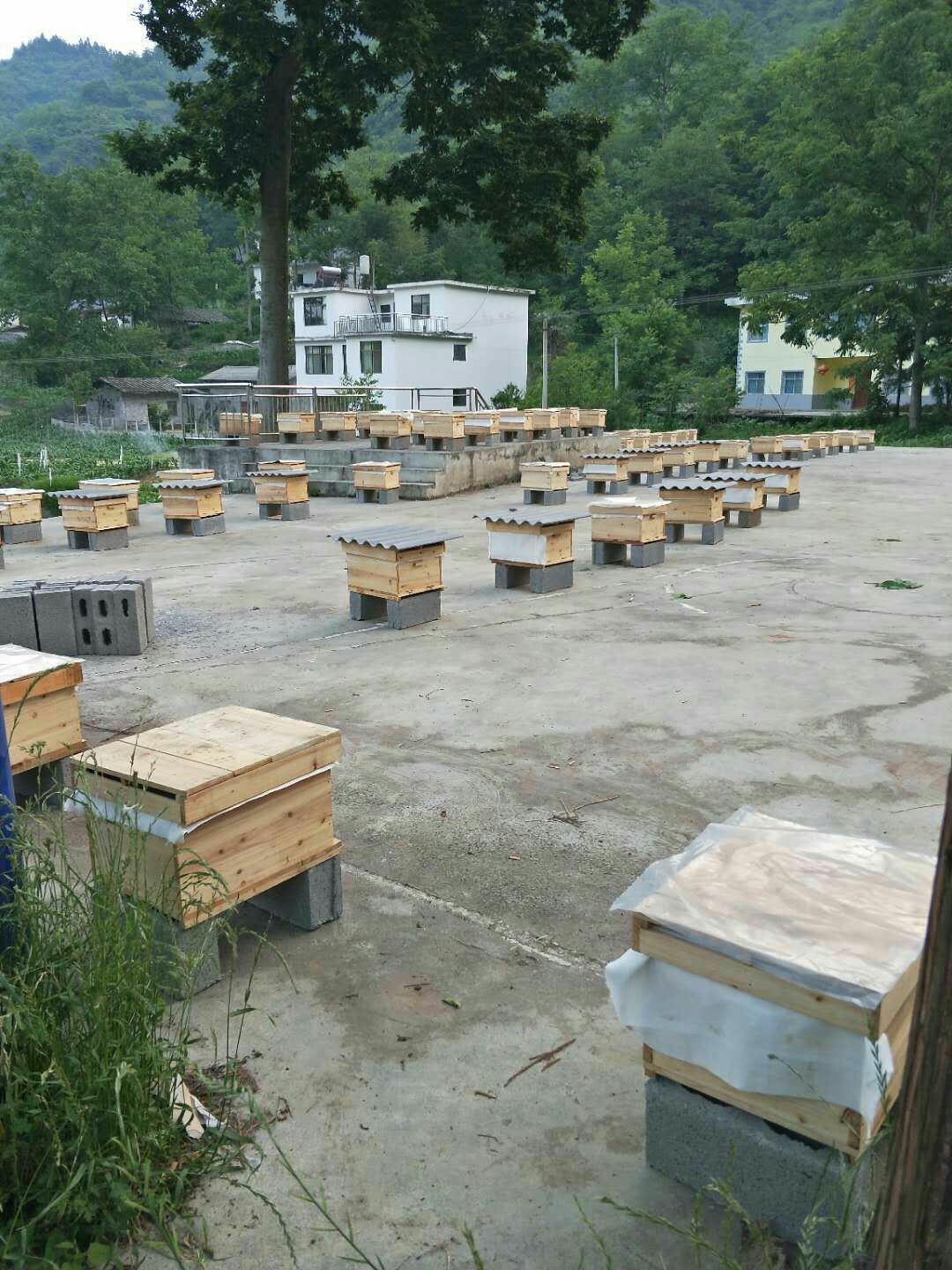 百花蜜 要健康，选农家