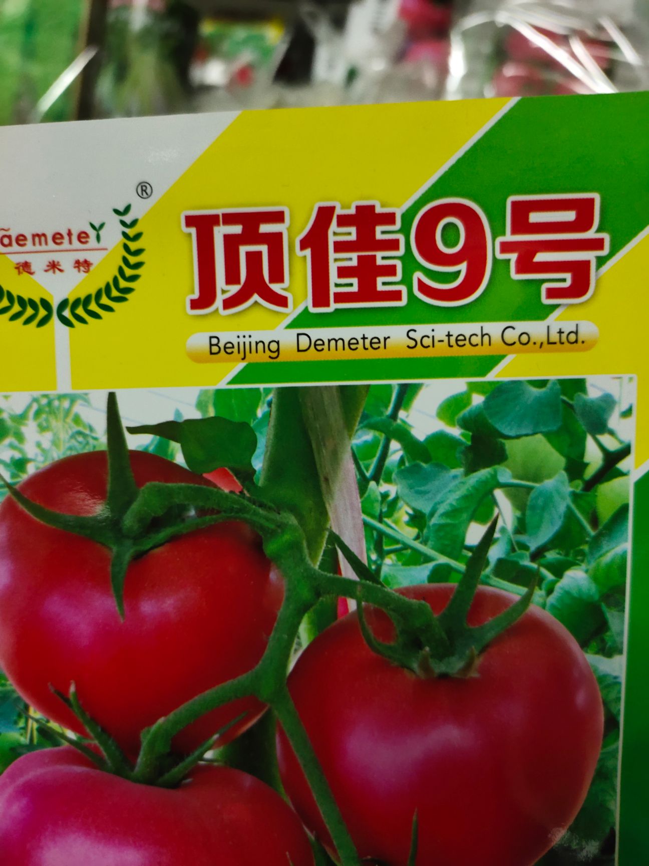 西红柿种子 顶佳9号 抗重茬  耐裂 亩3代