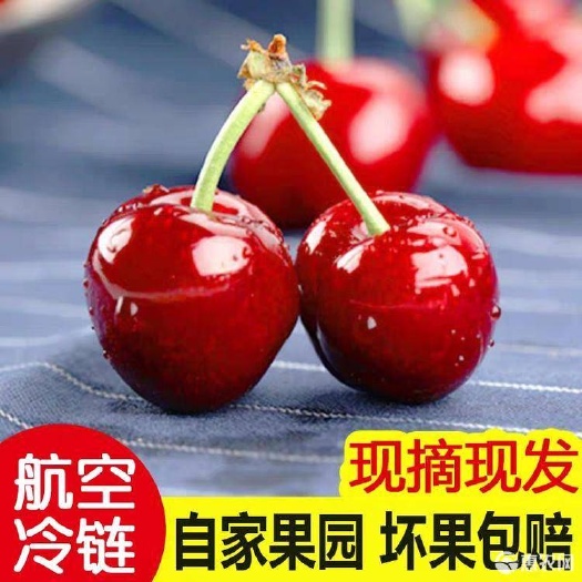 东莞市 刚上市樱桃，产地现摘，口感很好，22以上精选项果，泡沫箱装