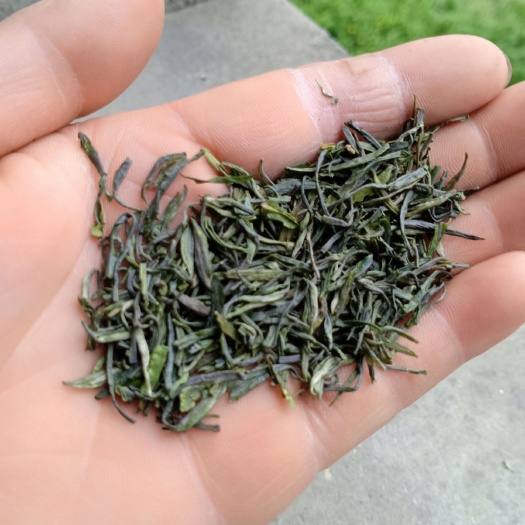 竹山县 高山绿茶