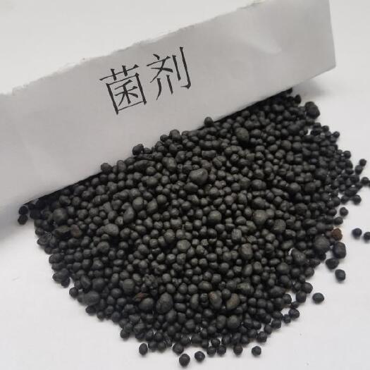 青州市 生物菌肥，高有机质，高活菌