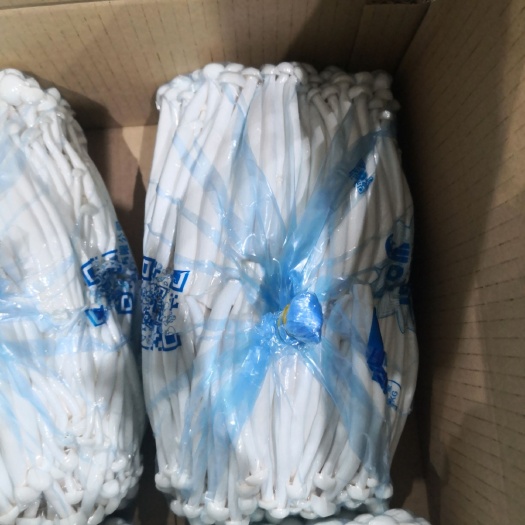 泗阳县白玉菇 寻找合作伙伴