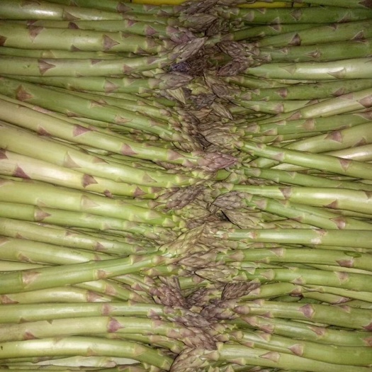 汾阳市 芦笋新鲜蔬菜春季龙须菜农家自产优质去白根绿笋天然青芦笋石刁
