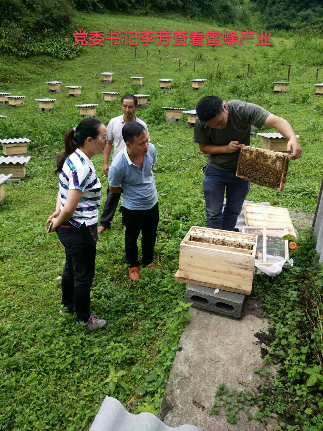 百花蜜 要健康，选农家