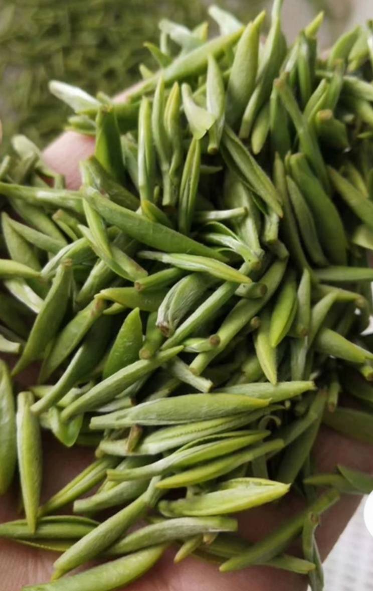 汉中午子仙毫 1-2年