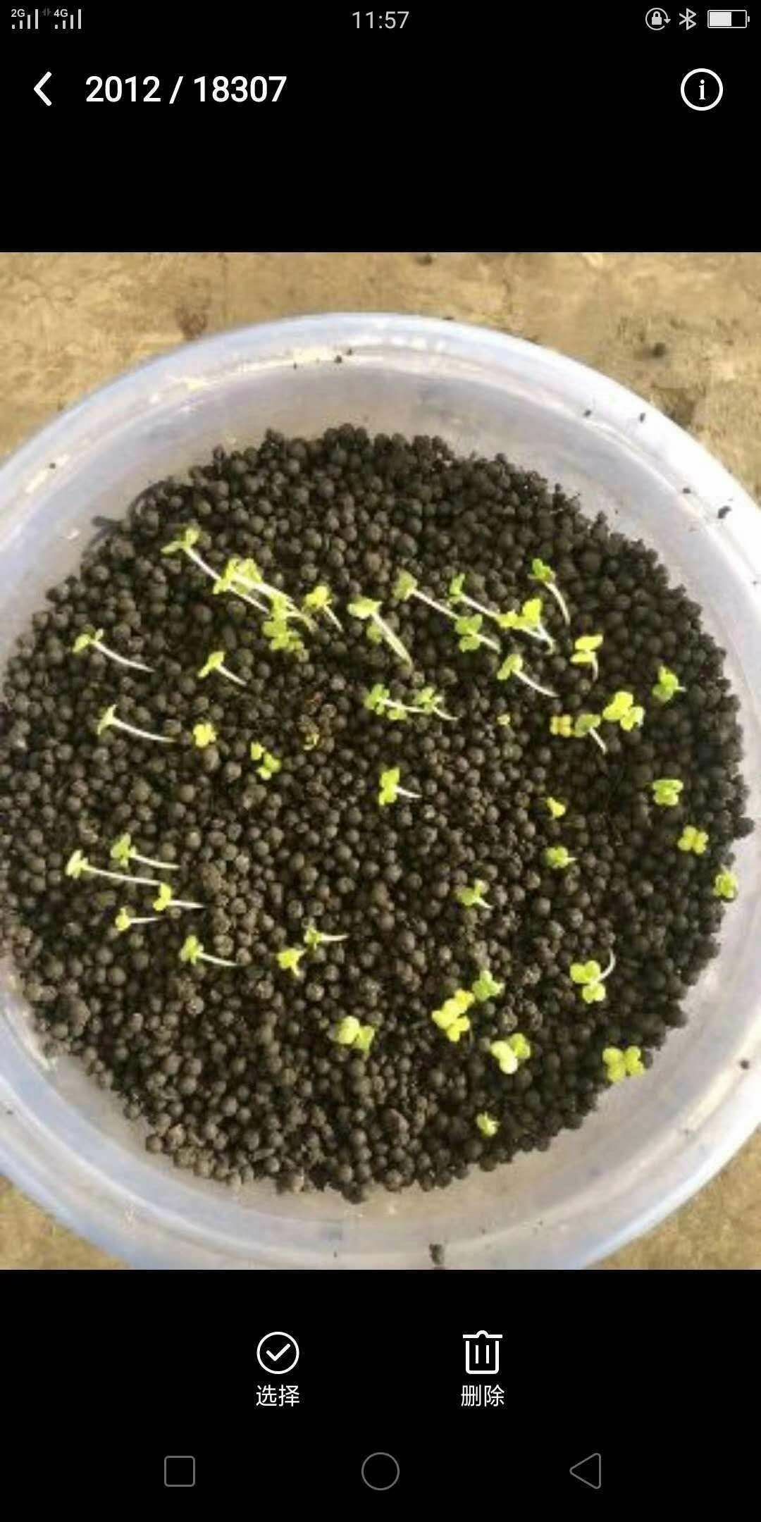 菌肥，果蔬有机菌肥有机质％50，有益活性菌5亿执行标准884