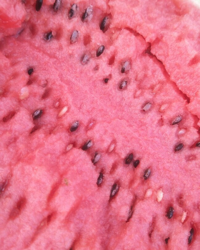 甜王西瓜 以诚相待，以质量求发展，广交同行朋友我