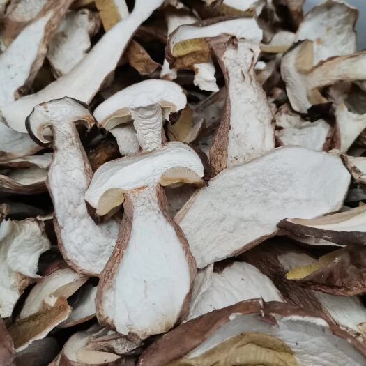 永德县美味牛肝菌 干牛肝菌