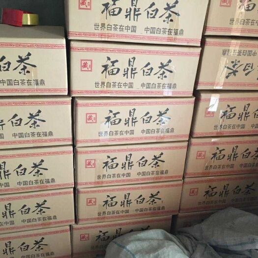 福鼎市 福鼎高山白茶厂家直销 磻溪产区