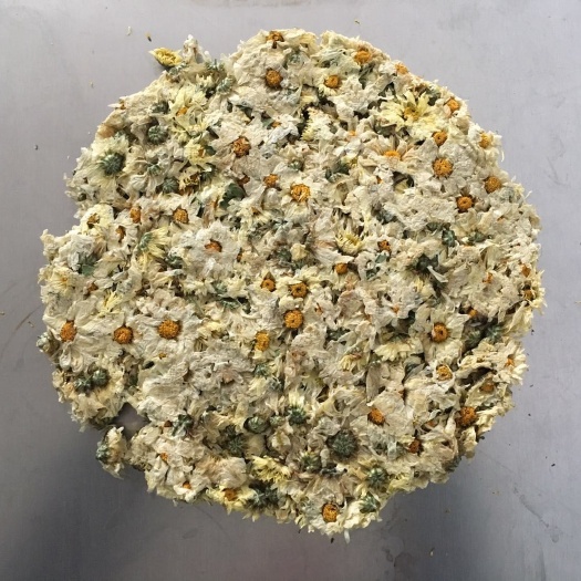 菊花茶  大别山麻城福白菊（中国国家地理标志产品）中国三大白