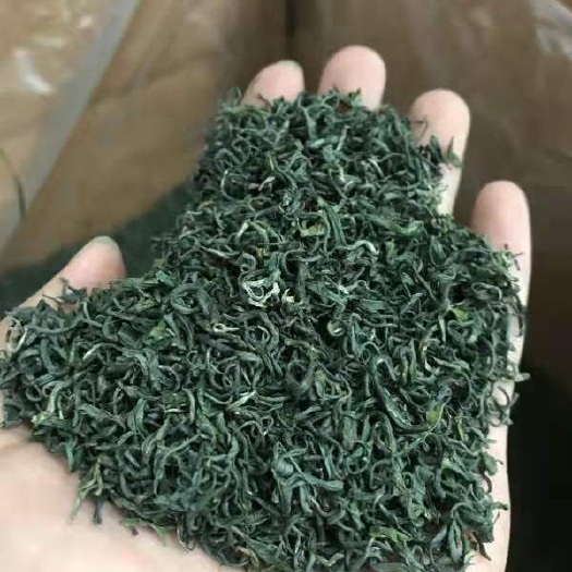随县 云峰山毛尖王