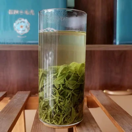 信阳信阳毛尖 新茶雨前毛尖口粮茶500克大份量