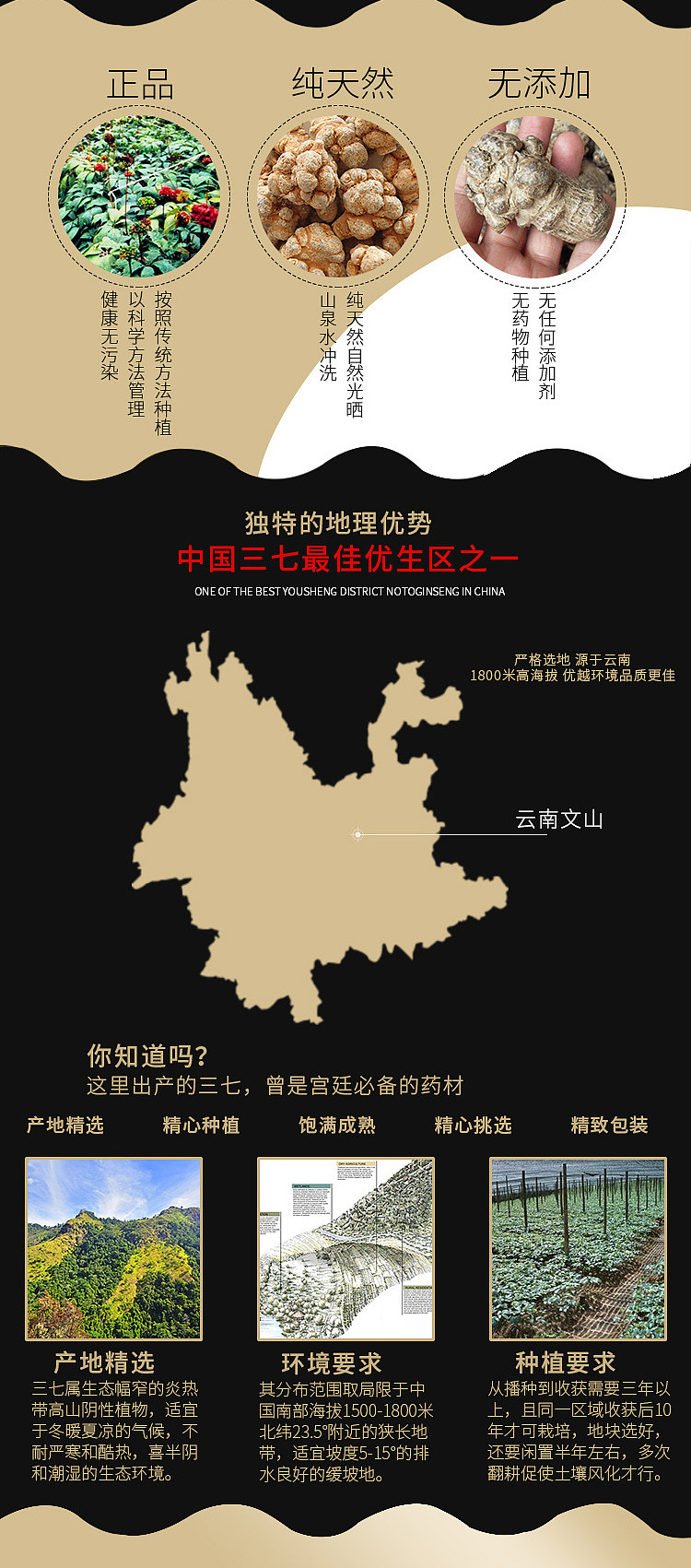  顺丰包邮三七超细三七粉云南文山特级足干三七头各规格可打粉压片