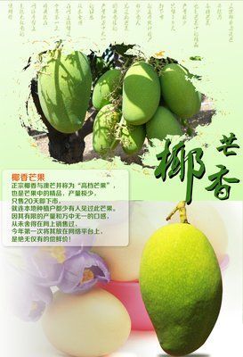 （批量）
椰香芒果四川攀枝花产地直供
