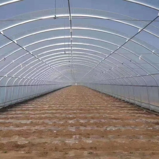 天津塑料薄膜温室大棚