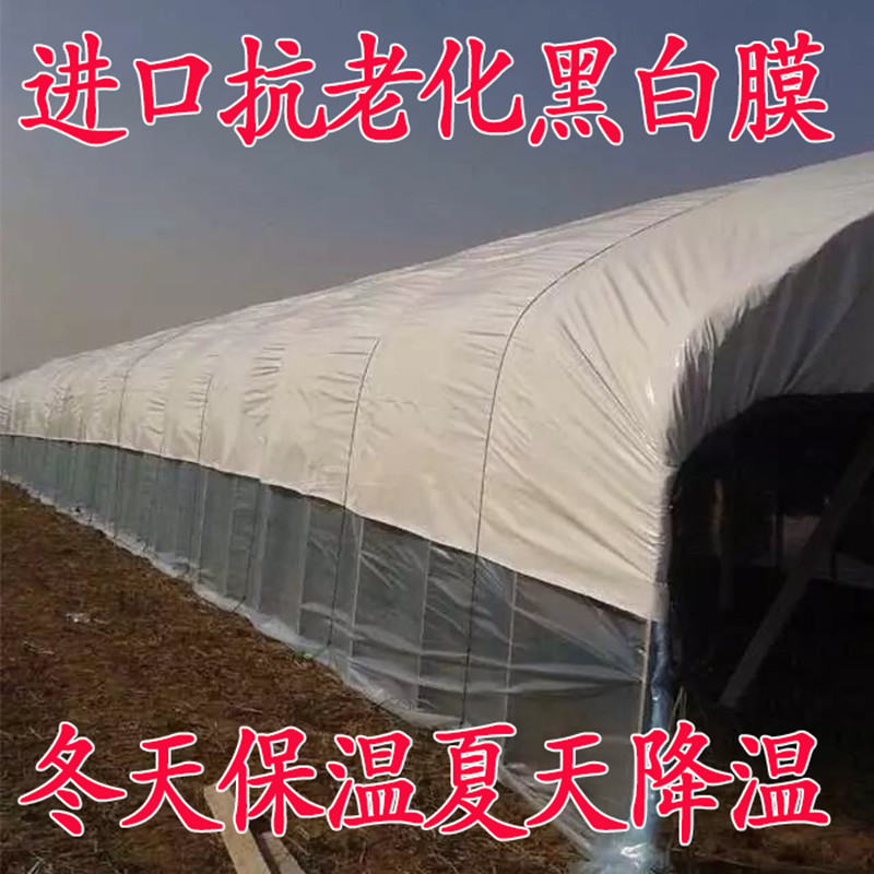  大棚膜蔬菜温室无滴膜塑料布薄膜po膜防晒保温加厚养殖黑白膜