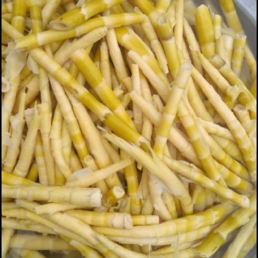 江口縣兩種品類竹筍，有大量水竹筍