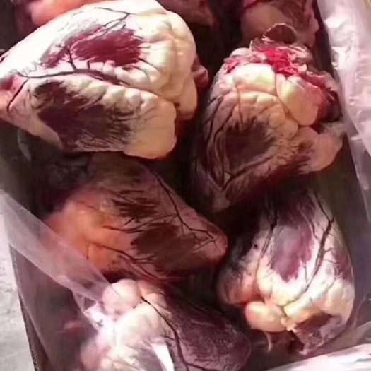 阳信县国产纯干牛心