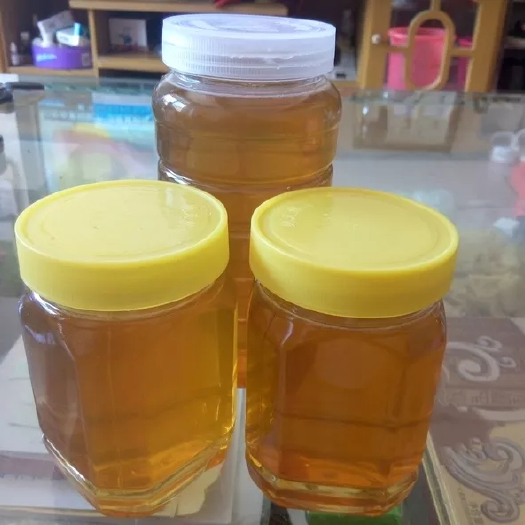 寻乌县中蜂