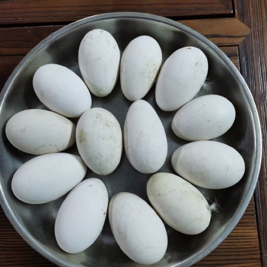 惠州鲜鹅蛋 食用 箱装