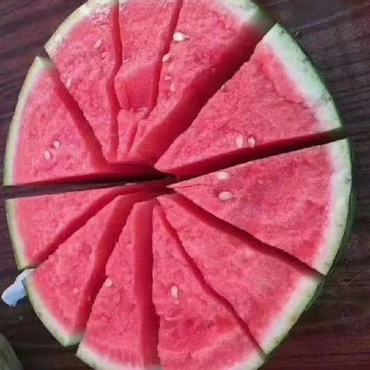 夏邑县8424西瓜 8424/美都大量上市