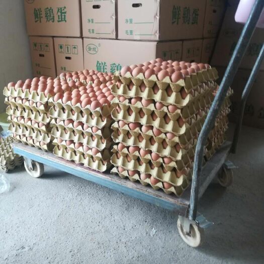 天门市普通鸡蛋 食用 箱装