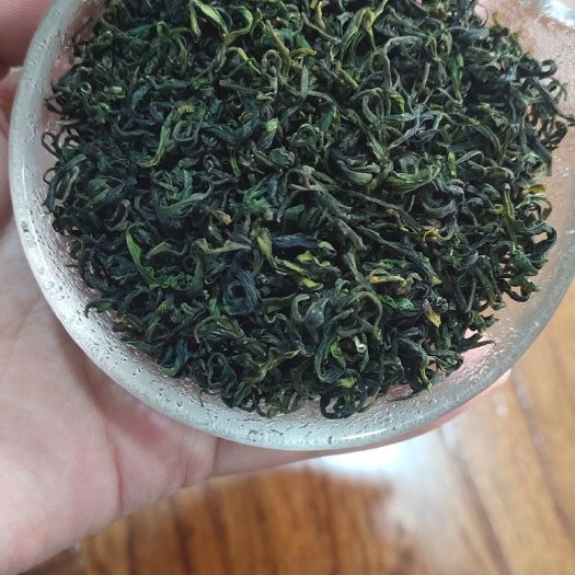 济南日照绿茶 日照茶农自产自销，2020年露天春茶