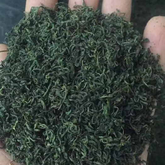 青岛 自家崂山绿茶红茶对外批发销售