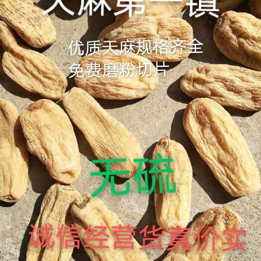 天麻  醉美秦岭生态林下仿    生种植
无熏麻原汁原味