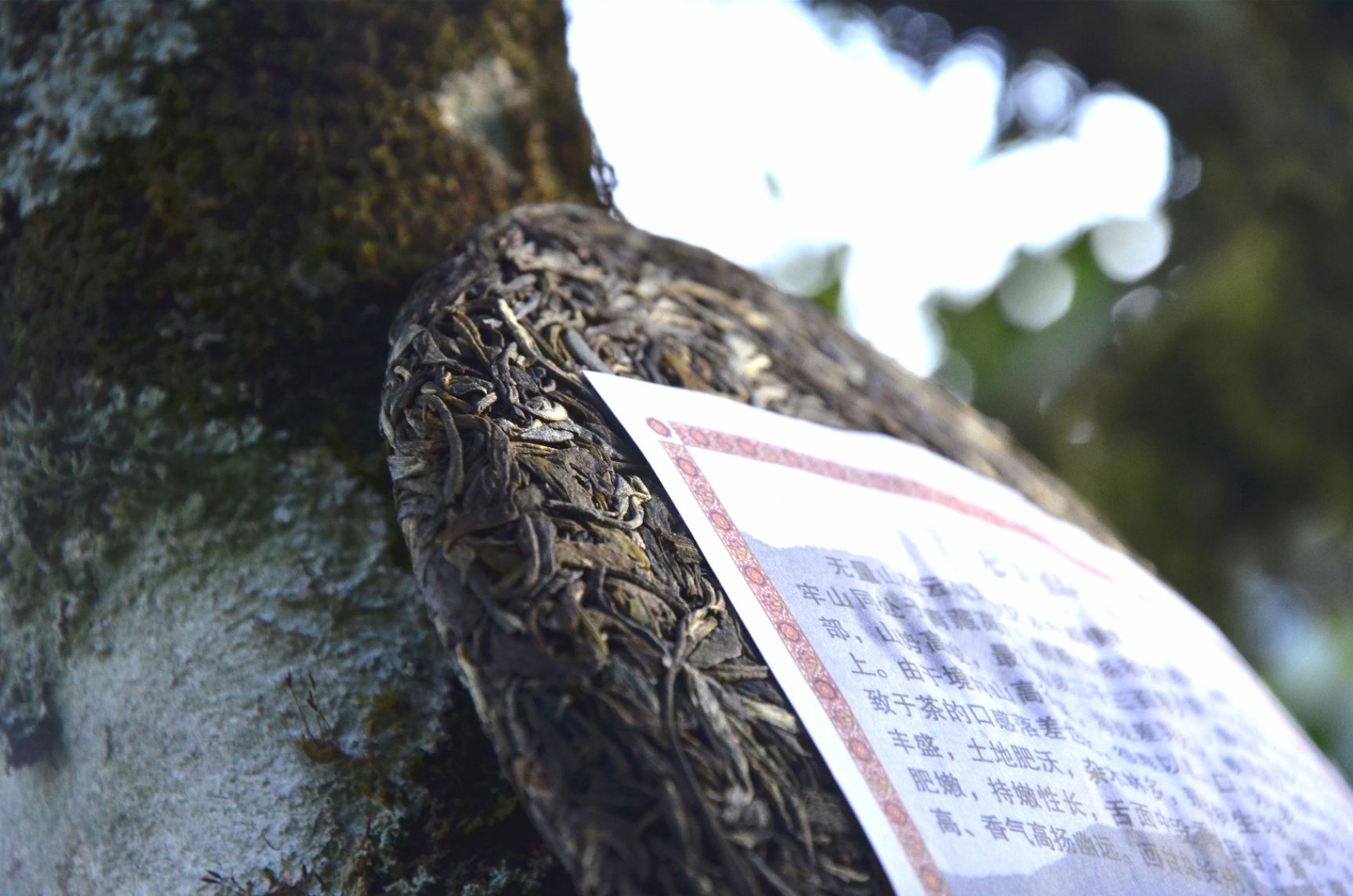  云南普洱茶 无量山七子饼 生茶饼 三弦情系列357克/饼/