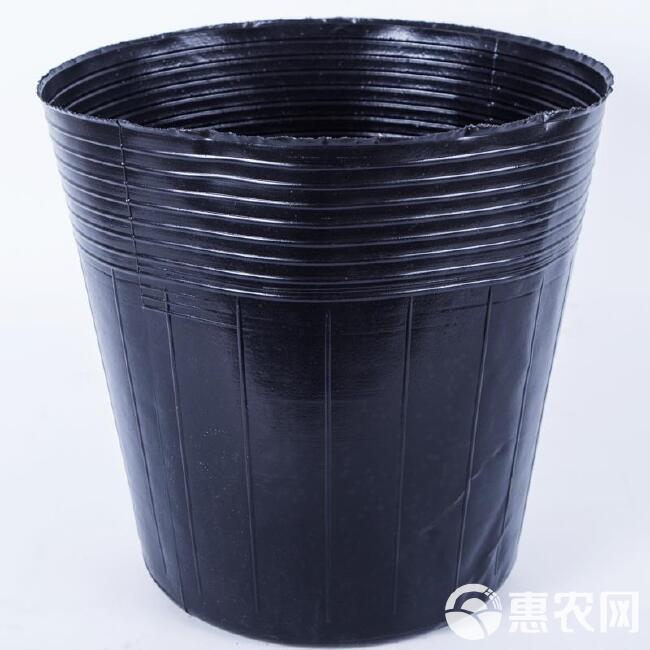 水培容器  荷花无孔盆，利达塑料制品有限公司专业生产线欢迎大家咨询订购！