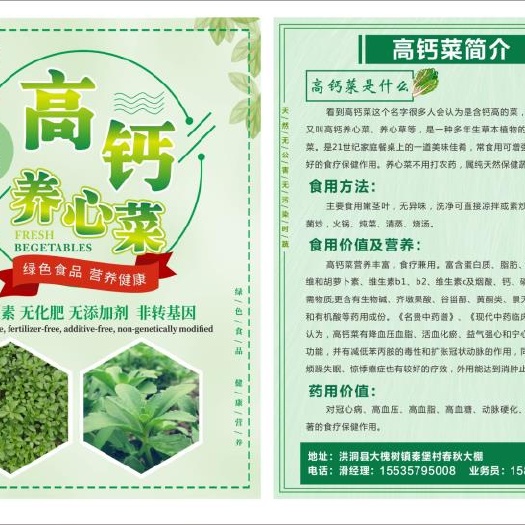 洪洞县救心菜 高钙养心菜，景天三七